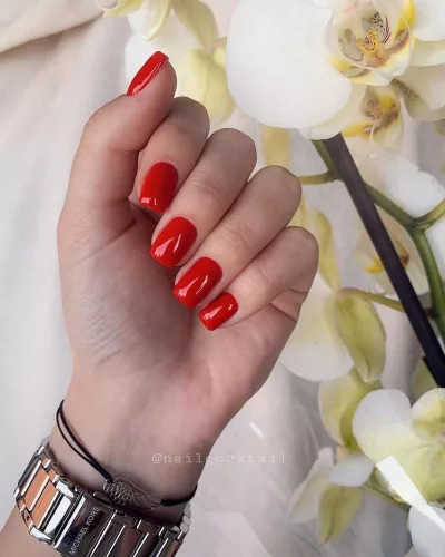 Gél Lakk - DN256 - Violent Scarlet - Zselé lakk