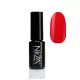 NiiZa Gel Polish 4ml – 537