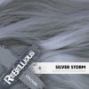 Rebellious Colour - Hajszínező Krém - Silver Storm 100ml