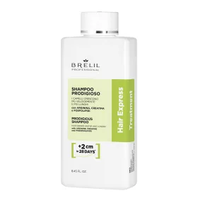   Brelil Professional - Amino Treatment - Hair Express Shampoo 250ml