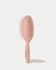 Framar - Detangle Brush (Champagne Mami) - Hajkefe