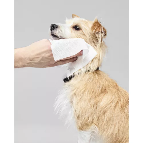 Paul Mitchell Pet - Fragrance Free Wipes (60 db)
