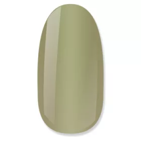 NiiZA Gel Polish 4ml – 366