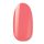 NiiZA Gel Polish 4ml – 401