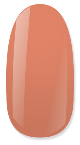 NiiZA Gel Polish 4ml - 047