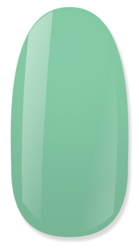 NiiZA Gel Polish 4ml - 063