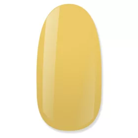 NiiZA Gel Polish 4ml - 070
