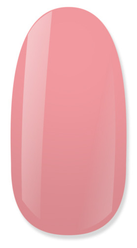 NiiZA Gel Polish 4ml - 120