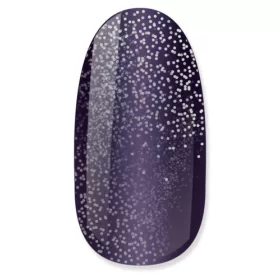 NiiZA Gel Polish 4ml - 212 Glitter