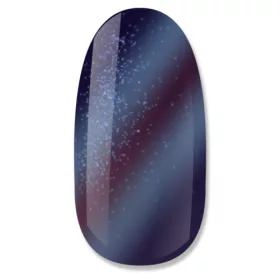 NiiZA Gel Polish 4ml - 223 THERMO Cat Eye