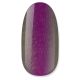 NiiZA Gel Polish 4ml - 238 cat eye