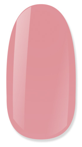 NiiZA Gel Polish 4ml - 250