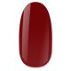 NiiZA Gel Polish 4ml - 256